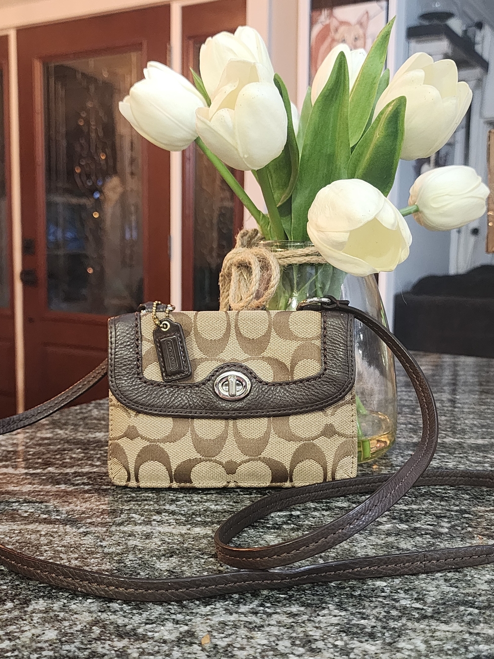 Coach Dylan Signature Canvas and Leather Mini Crossbody/wallet- GUC
